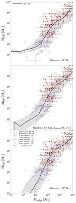 Theoretical Re-evaluations of Scaling Relations between SMBHs and Their Host Galaxies—1. Effect of Seed BH Mass